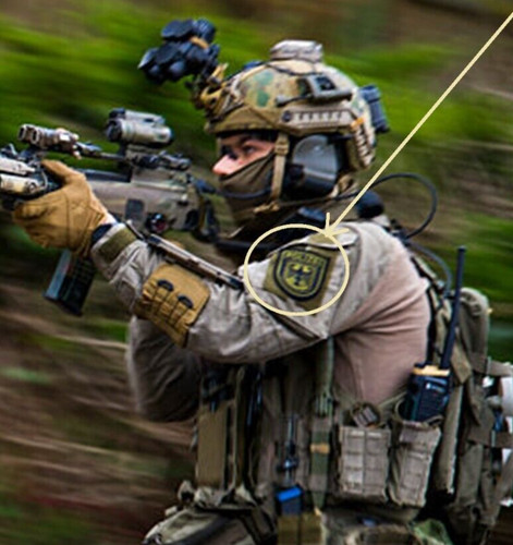 écusson bgs bundespolizei gsg - bundespolizei,
