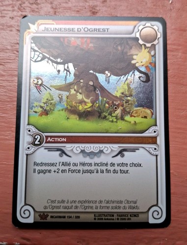 Carte wakfu jeunesse - carte,