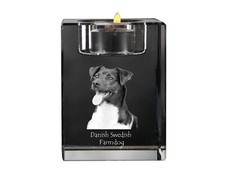 Chien de ferme dano-suédois