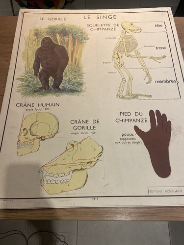 Carte affiche scolaire - carte,