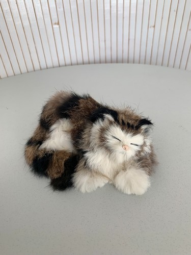 Vintage fur sleeping cat - fur,