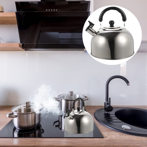 Bouilloire inox sifflante en - sifflante,