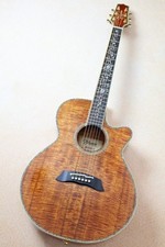 Takamine / DMP100K N All