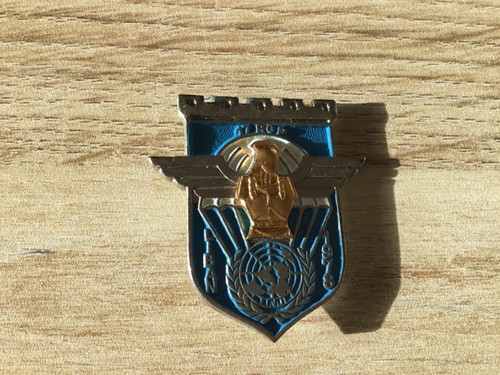 Insigne tap rgp finul - insigne,