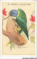 CAR-ABHP6-1110-CHROMOS -