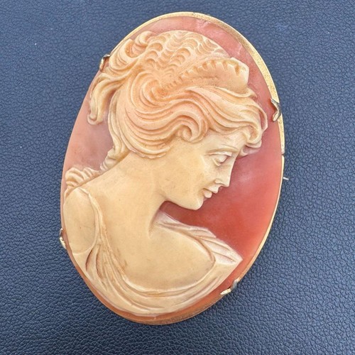 Broche camée coquille camée