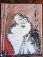 Pierre-Vincent Innocente