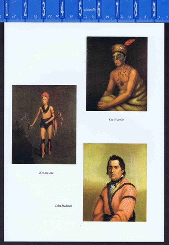 Fox warrior kee one john - fox, &