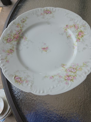 Theodore haviland limoges - 2,