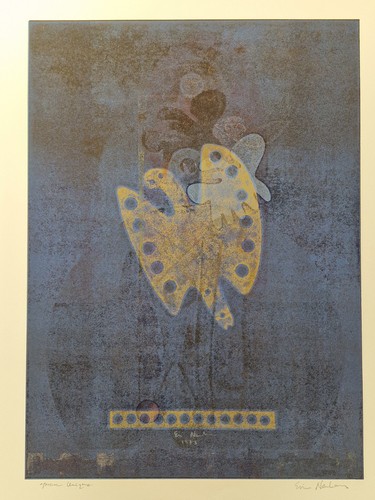 Ervin neuhaus papillons de - [papillons,