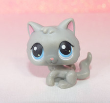 authentic LPS 66 PETSHOP chat