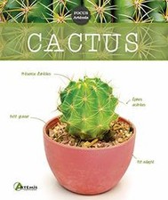 Cactus de not specified |