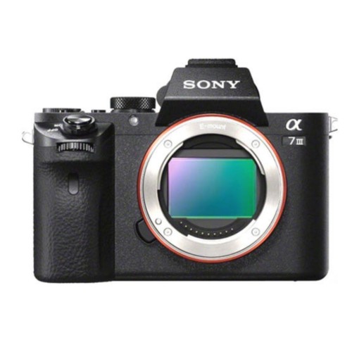 Appareil photo numérique sans