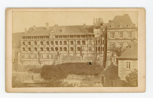 Cdv photo photographie - cdv,