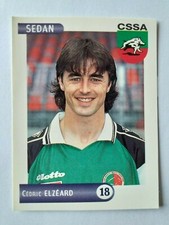 Panini foot ligue 2000 - panini,