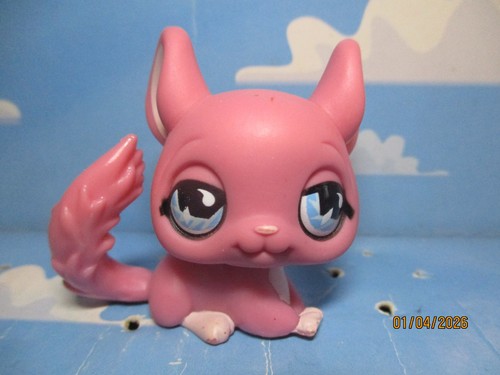 Petshop chinchilla 599 - chinchilla, /