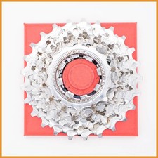 VÉLO DE ROUTE CAMPAGNOLO 14