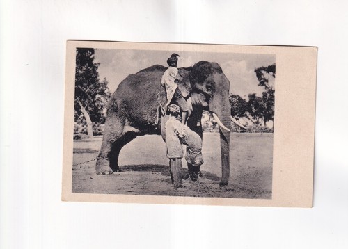 F5204 carte postale - f5204),