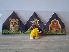 Fève Pasquier 2026 - Zooparc