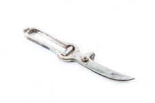 Ancienne Ciseaux À Volaille