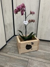 Bac à fleur pot de fleurs