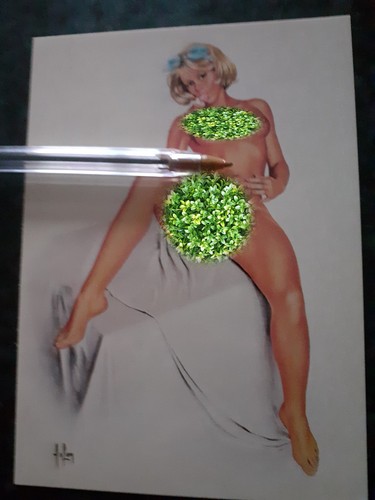 Aslan fraicheur pin - _, pin-up