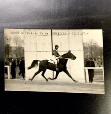 Photo Presse Tiercé Cheval