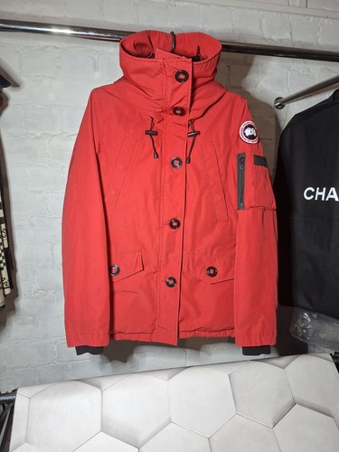 Canada goose montebello - goose,