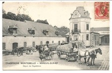 MAREUIL SUR AY (51) Champagne