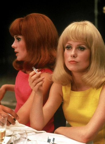 Photo les demoiselles - photo,
