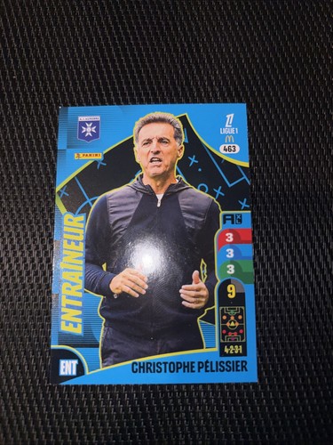 Carte panini adrenalyn - carte,