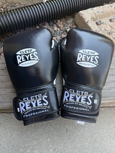 Profesional sparring gloves - profesional,