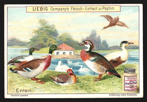 Images collection liebig - de,
