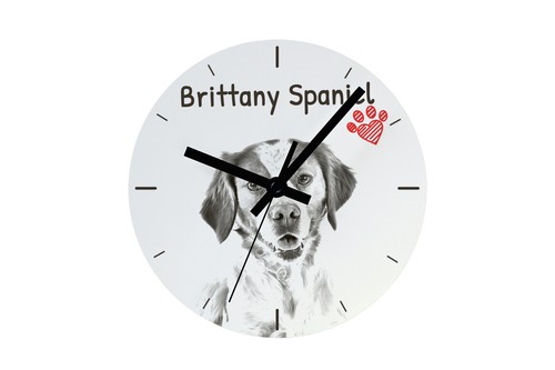 Epagneul breton horloge avec - breton,