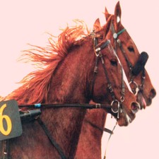 METHODE de TURF : Classeur