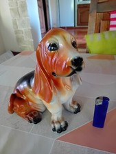 Ancien basset hound - basset,