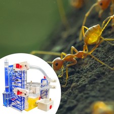 Fourmilière en acrylique à