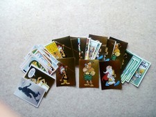 Vignette Panini Asterix