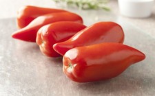 25 Graines de Tomate Cornue