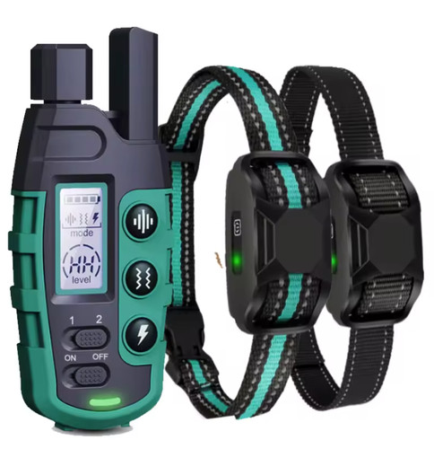 Colliers dressage chien - colliers,