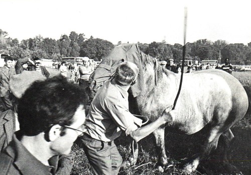 Cpm plouay - 56, (morb.)