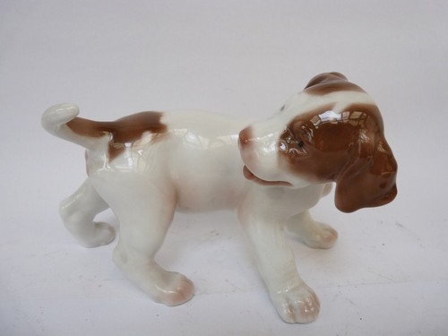 Chiot pointer porcelaine - porcelaine, bing
