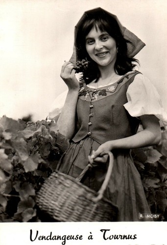 Vendangeuse tournus - à,