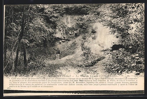 Cpa dixmont vine de - cpa,