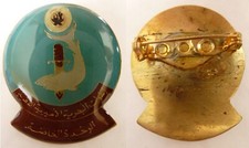 Insigne NEDEX PLONGEURS