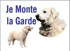 Attention chien je monte - chien,,