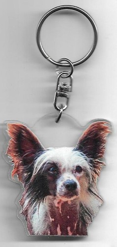Chien chinois porte cles - chien,