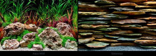 Poster fond aquarium - poster,