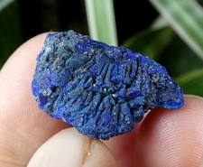 Nodule Azurite Chessylite