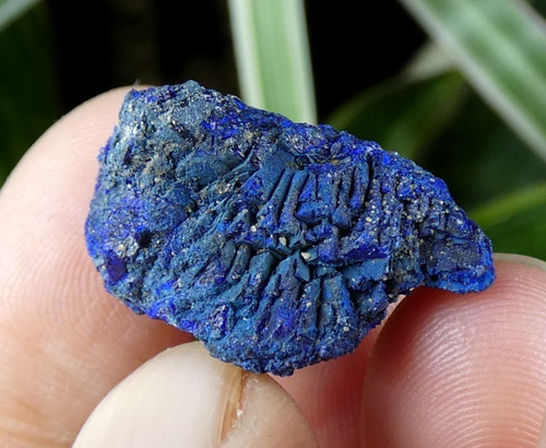 Nodule azurite chessylite - azurite,